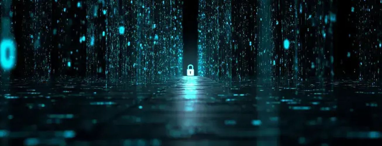 Design sem nome (61)